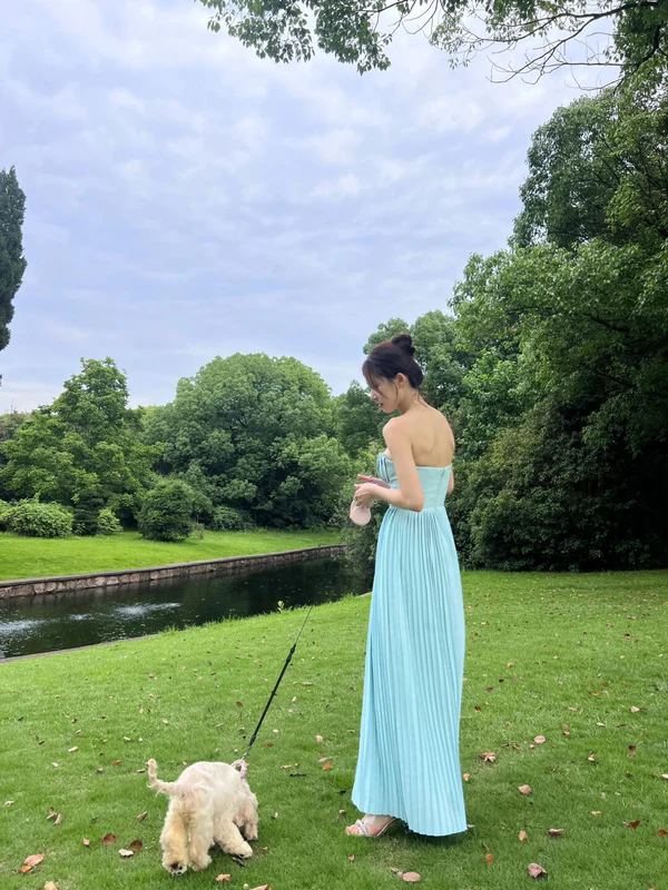 Elegant A Line Sweetheart Blue Chiffon Long Prom Dresses Party Dress 21st Birthday Outfits Graduation Dresses
