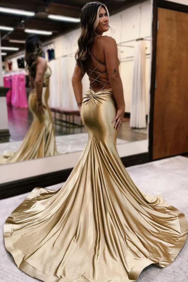 Simple Mermaid V Neck Spaghetti Straps Sleeveless Criss Cross Straps Prom Party Dress Floor Length Formal Evening Dress Cocktail Dress