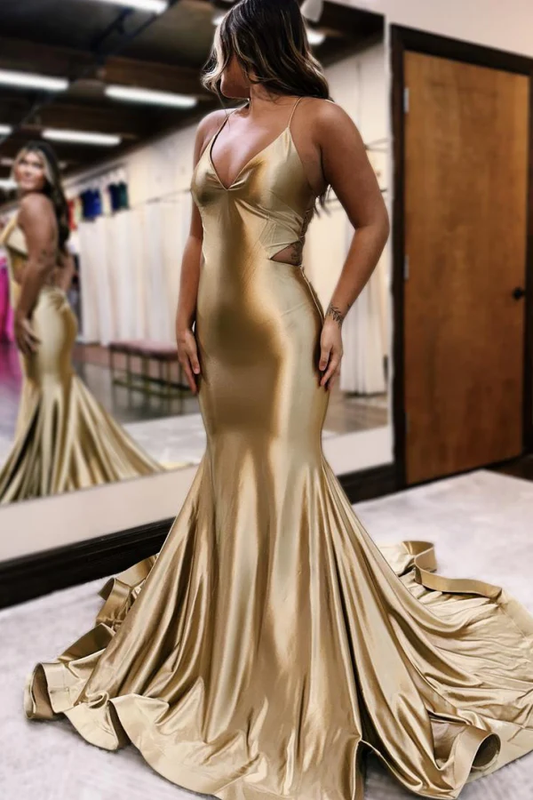 Simple Mermaid V Neck Spaghetti Straps Sleeveless Criss Cross Straps Prom Party Dress Floor Length Formal Evening Dress Cocktail Dress